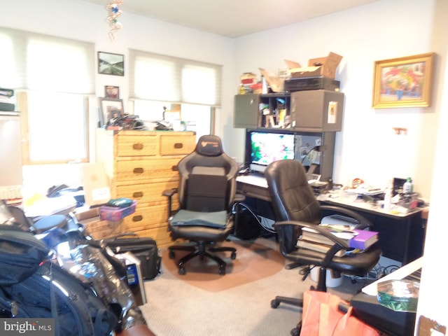 view of carpeted home office