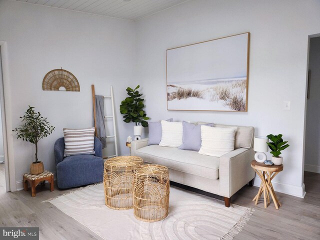 living room featuring light hardwood / wood-style floors