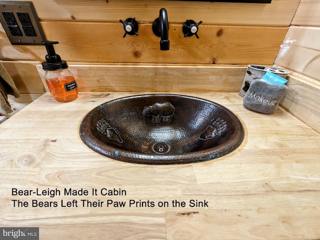 interior details featuring sink