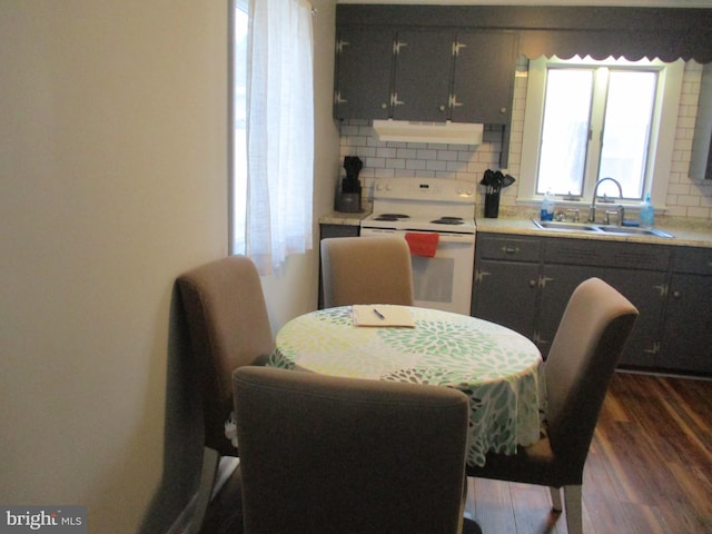 dining room featuring dark hardwood / wood-style flooring and sink