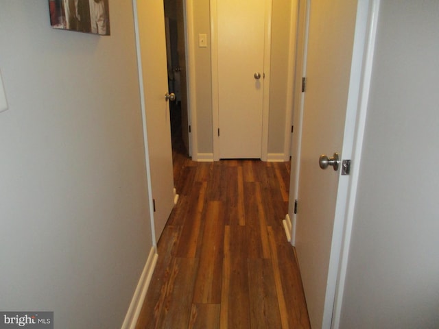 hall featuring dark hardwood / wood-style floors