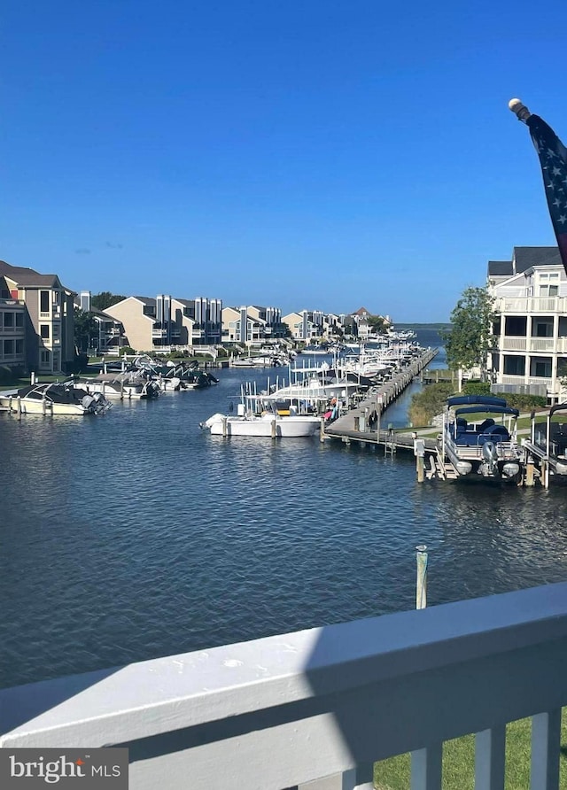 dock area with a water view