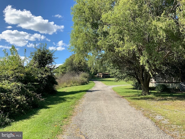 view of road