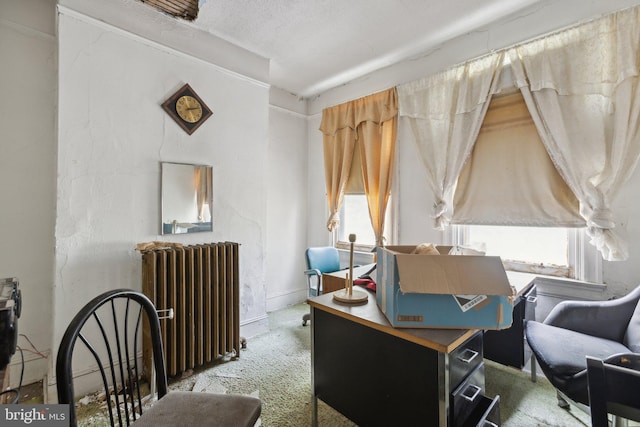 office area with carpet floors, radiator, and a textured ceiling