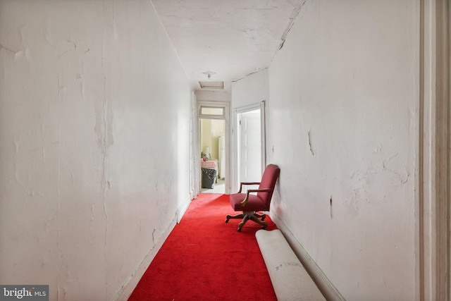 hallway with carpet flooring