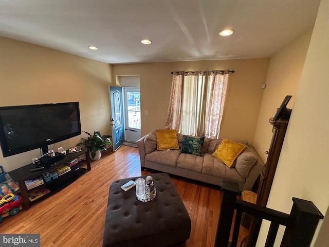 living room with wood-type flooring