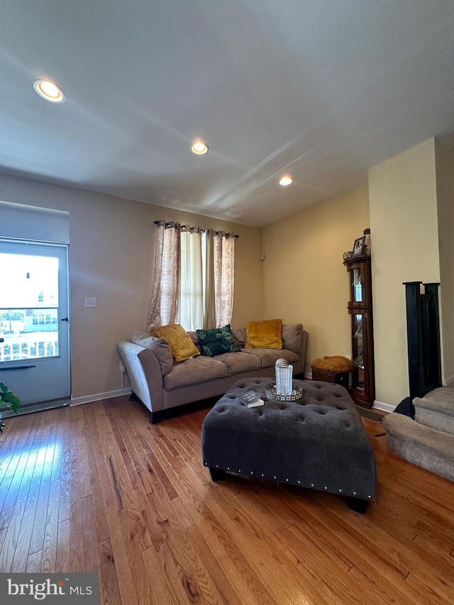 living room with wood-type flooring