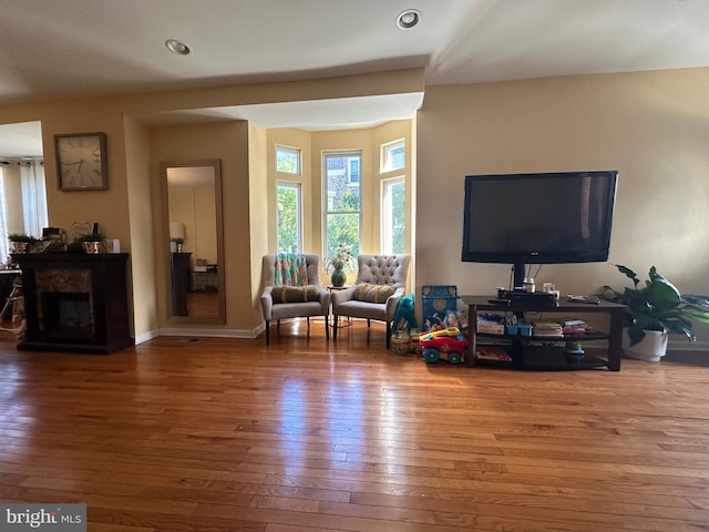 living room featuring hardwood / wood-style floors