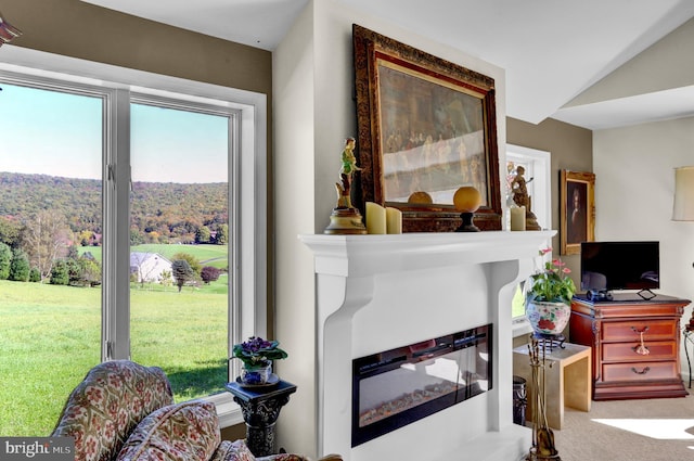 view of carpeted living room