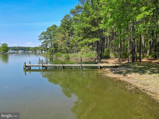 dock area featuring a water view