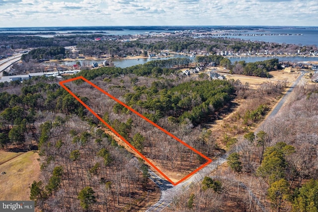 birds eye view of property featuring a view of trees and a water view