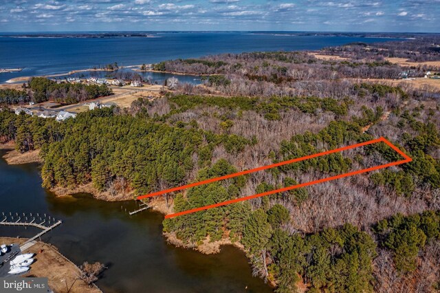 aerial view featuring a wooded view and a water view