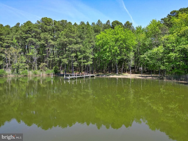 view of water feature featuring a forest view