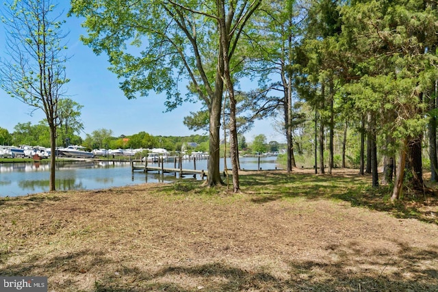 dock area with a water view