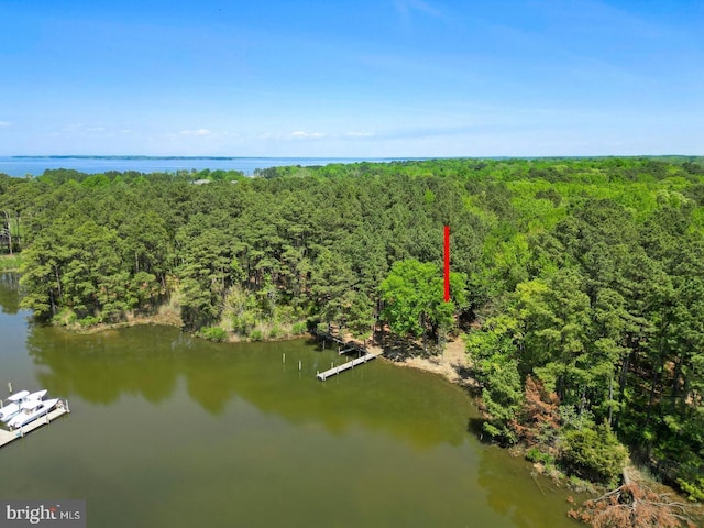 aerial view featuring a wooded view and a water view