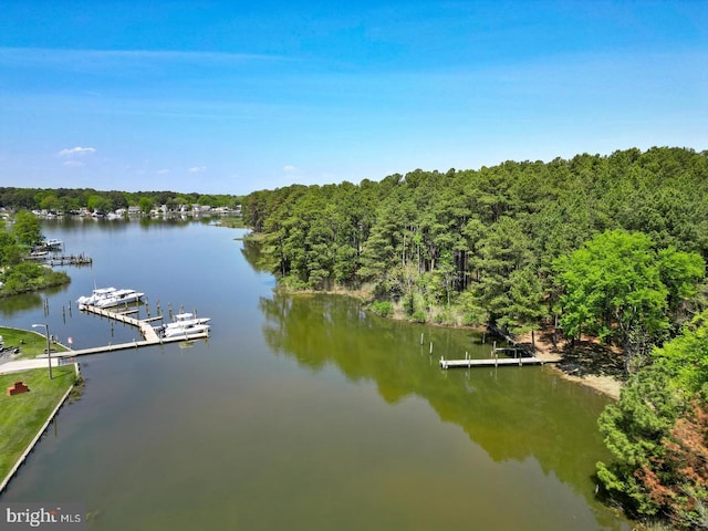 exterior space with a boat dock