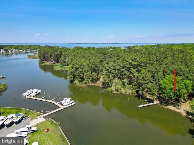 bird's eye view with a view of trees and a water view