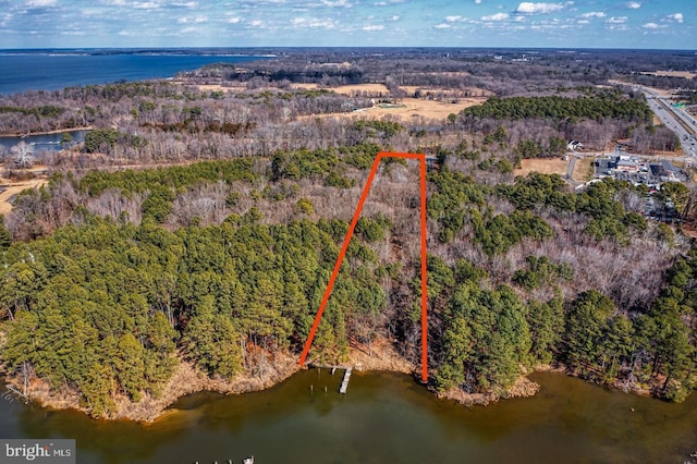 birds eye view of property with a view of trees and a water view