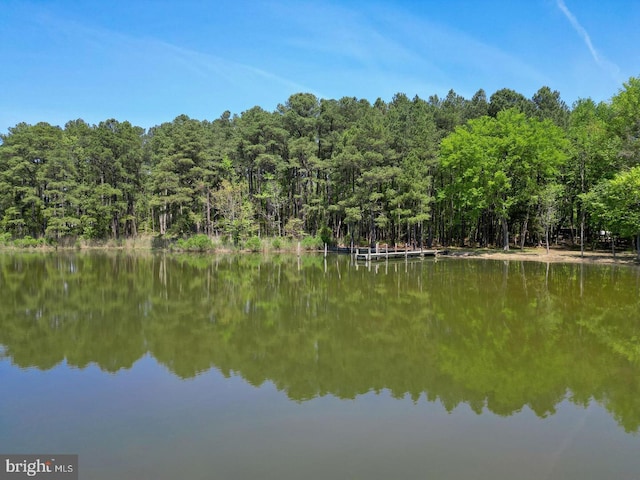 property view of water with a wooded view