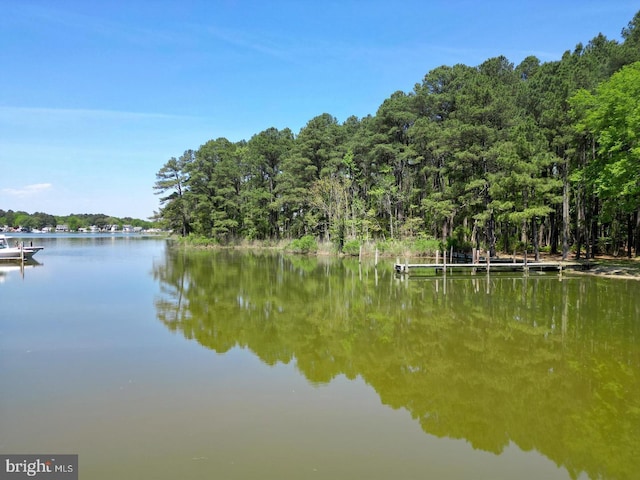 view of water feature with a view of trees