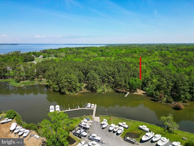 birds eye view of property with a forest view and a water view