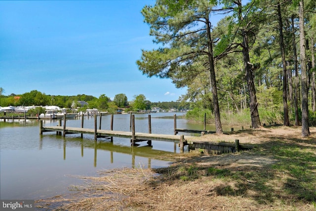 dock area with a water view