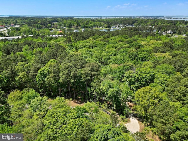 aerial view with a view of trees and a water view