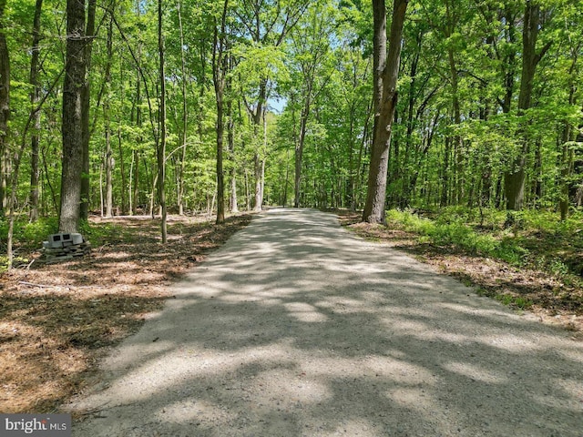 view of street featuring a wooded view