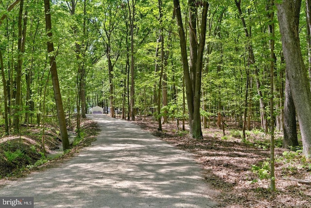 view of property's community featuring a view of trees