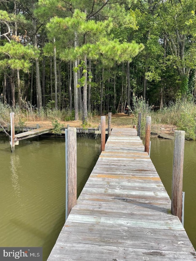 dock area featuring a water view