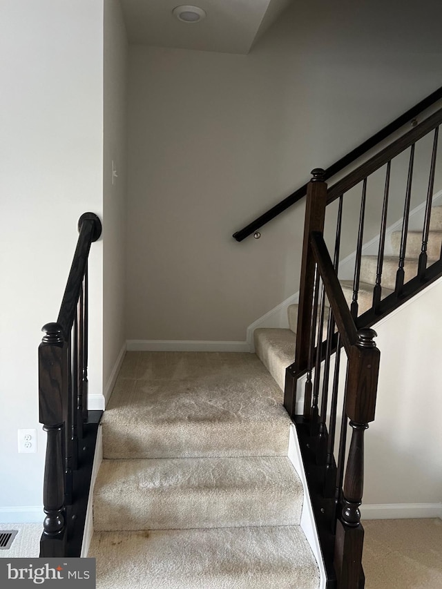 stairway featuring carpet