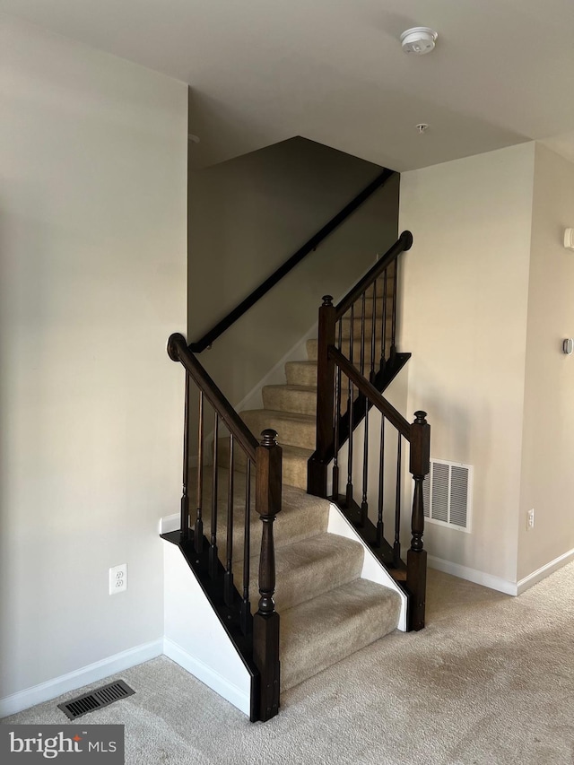 staircase featuring carpet