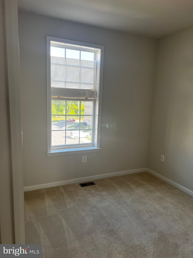 unfurnished room featuring carpet and a wealth of natural light