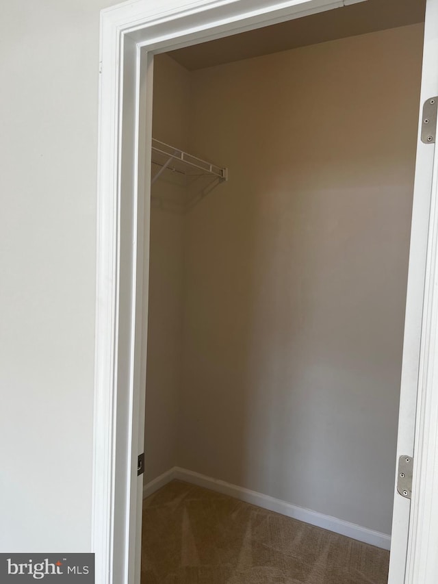 spacious closet with carpet floors