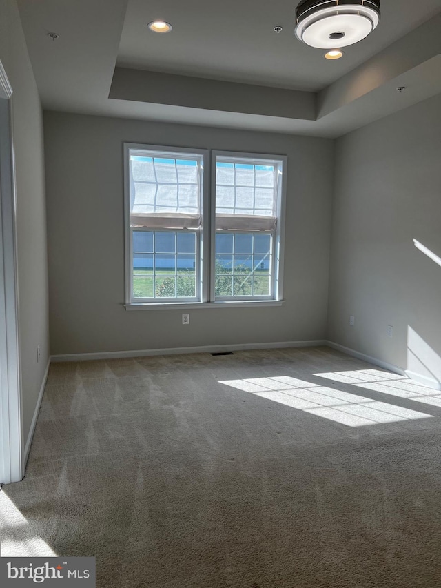 empty room featuring carpet flooring and a tray ceiling