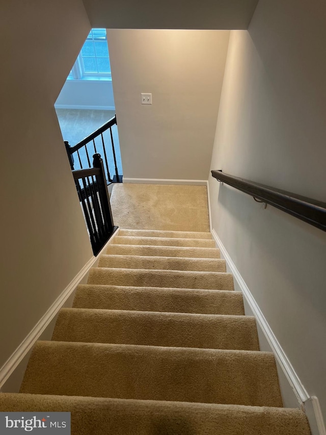 stairs with a high ceiling and carpet flooring