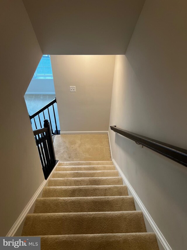 stairs with carpet flooring