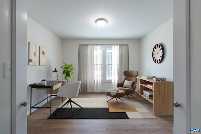 office area featuring wood finished floors