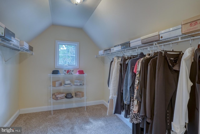 walk in closet featuring carpet flooring and lofted ceiling