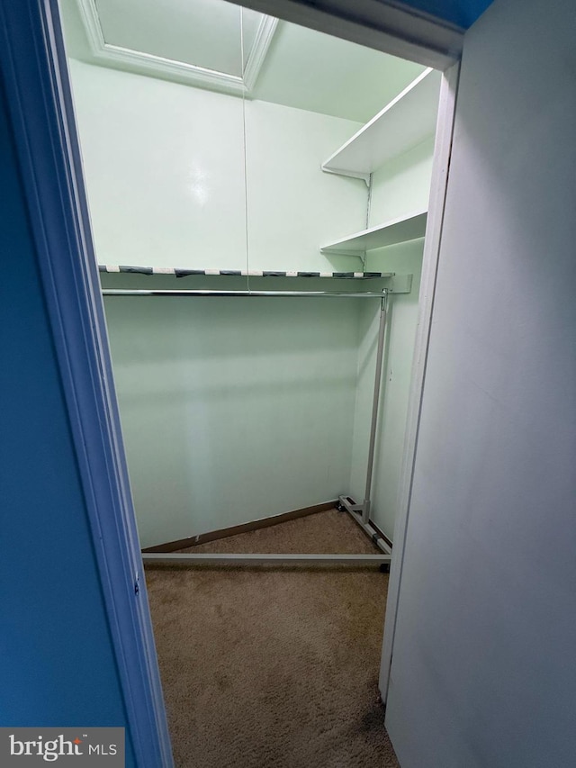 16 Country Birch Ln, Egg Harbor Township, NJ 08234 - walk in closet featuring carpet