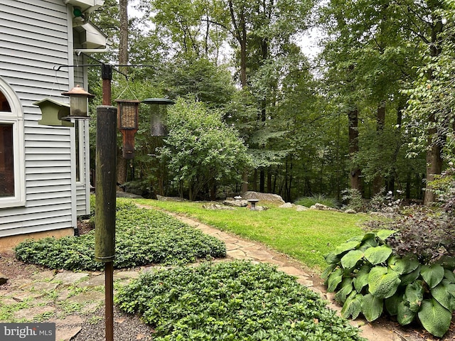 view of yard