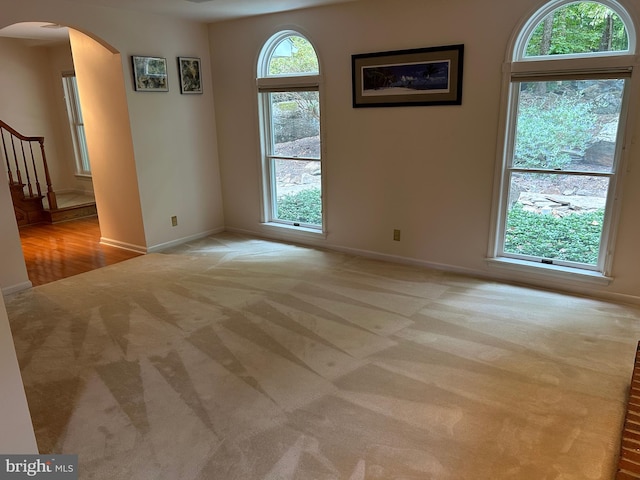 spare room featuring light carpet