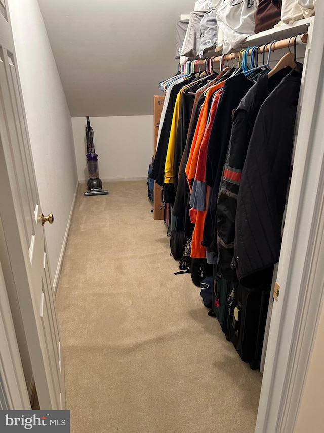 walk in closet featuring light colored carpet