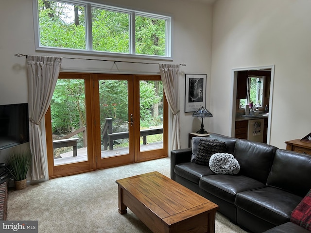 living room featuring a wealth of natural light, light colored carpet, a high ceiling, and wine cooler