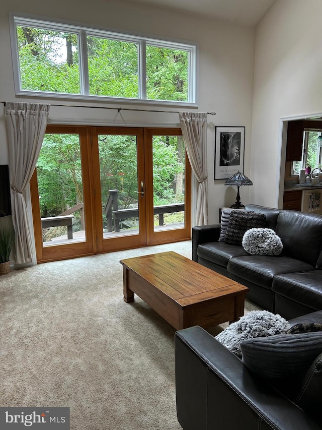 living room with french doors, plenty of natural light, and carpet flooring