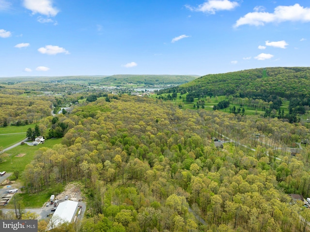 aerial view