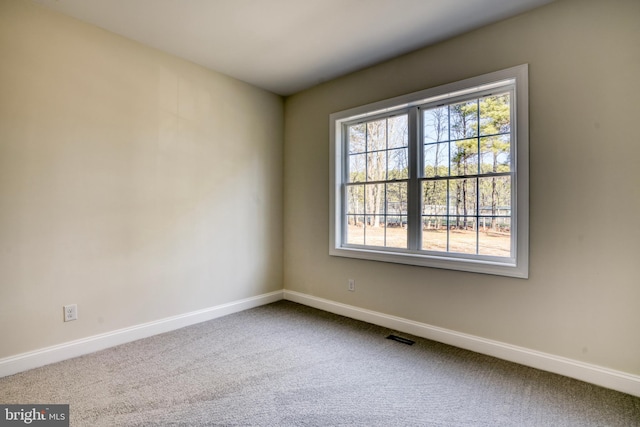 spare room featuring plenty of natural light and carpet flooring