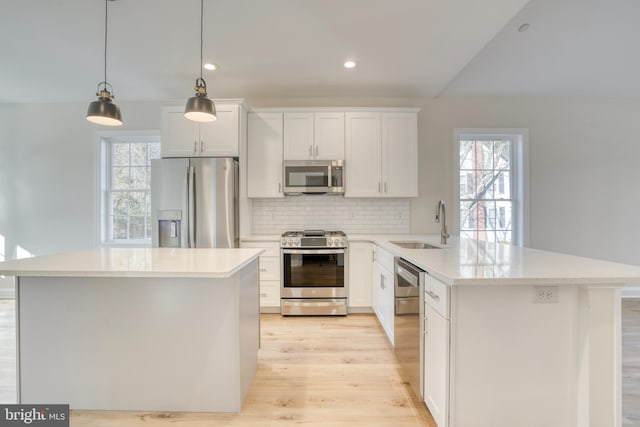 kitchen with plenty of natural light, light hardwood / wood-style flooring, stainless steel appliances, and sink