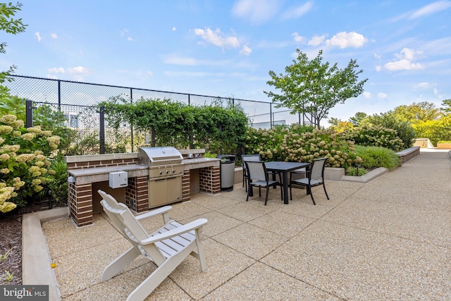 view of patio / terrace featuring area for grilling