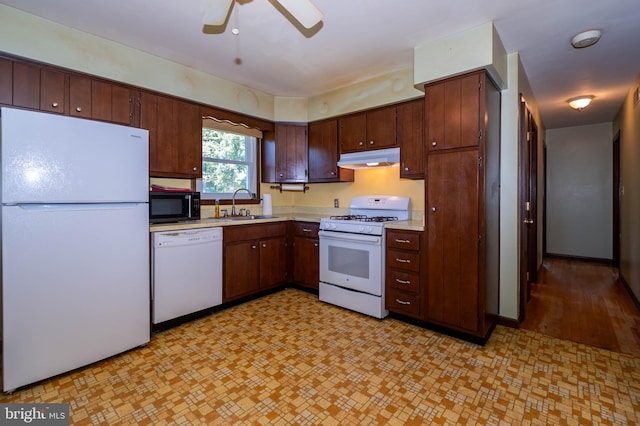 kitchen with white appliances, light hardwood / wood-style flooring, sink, ceiling fan, and dark brown cabinetry